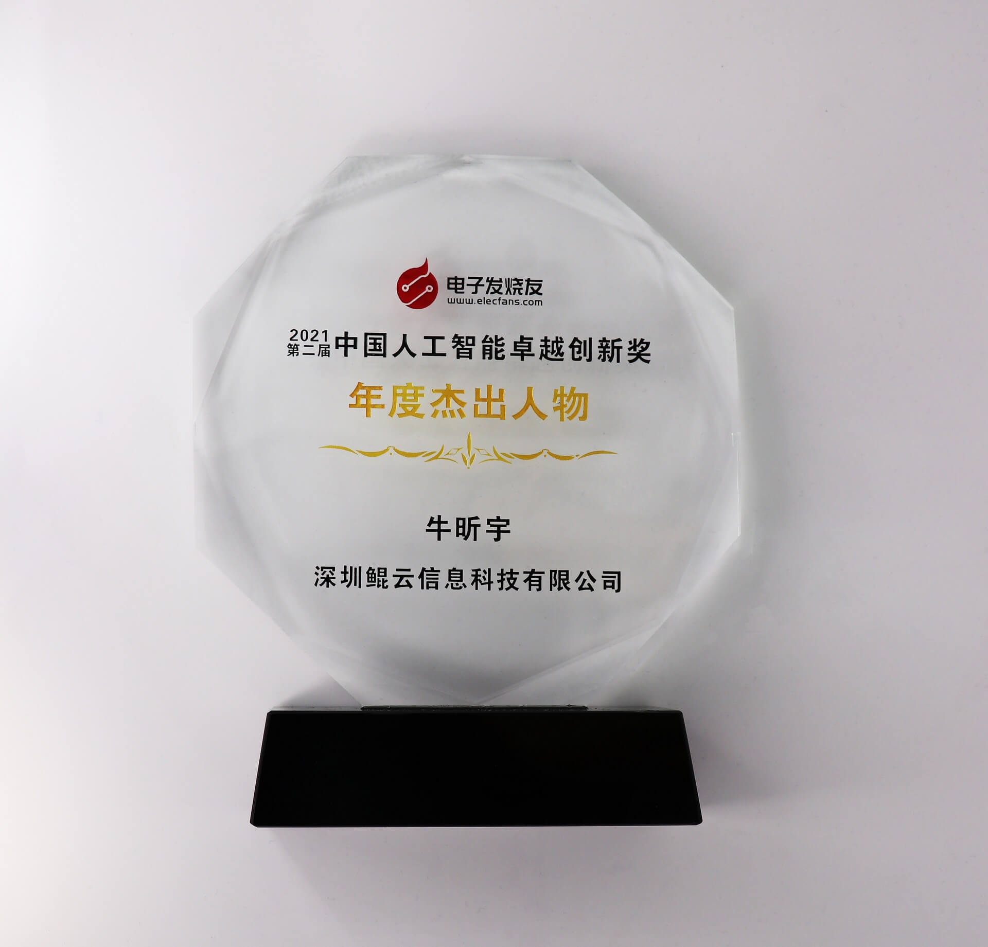 中國(guó)人工智能卓越創(chuàng)新獎(jiǎng)年度杰出人物